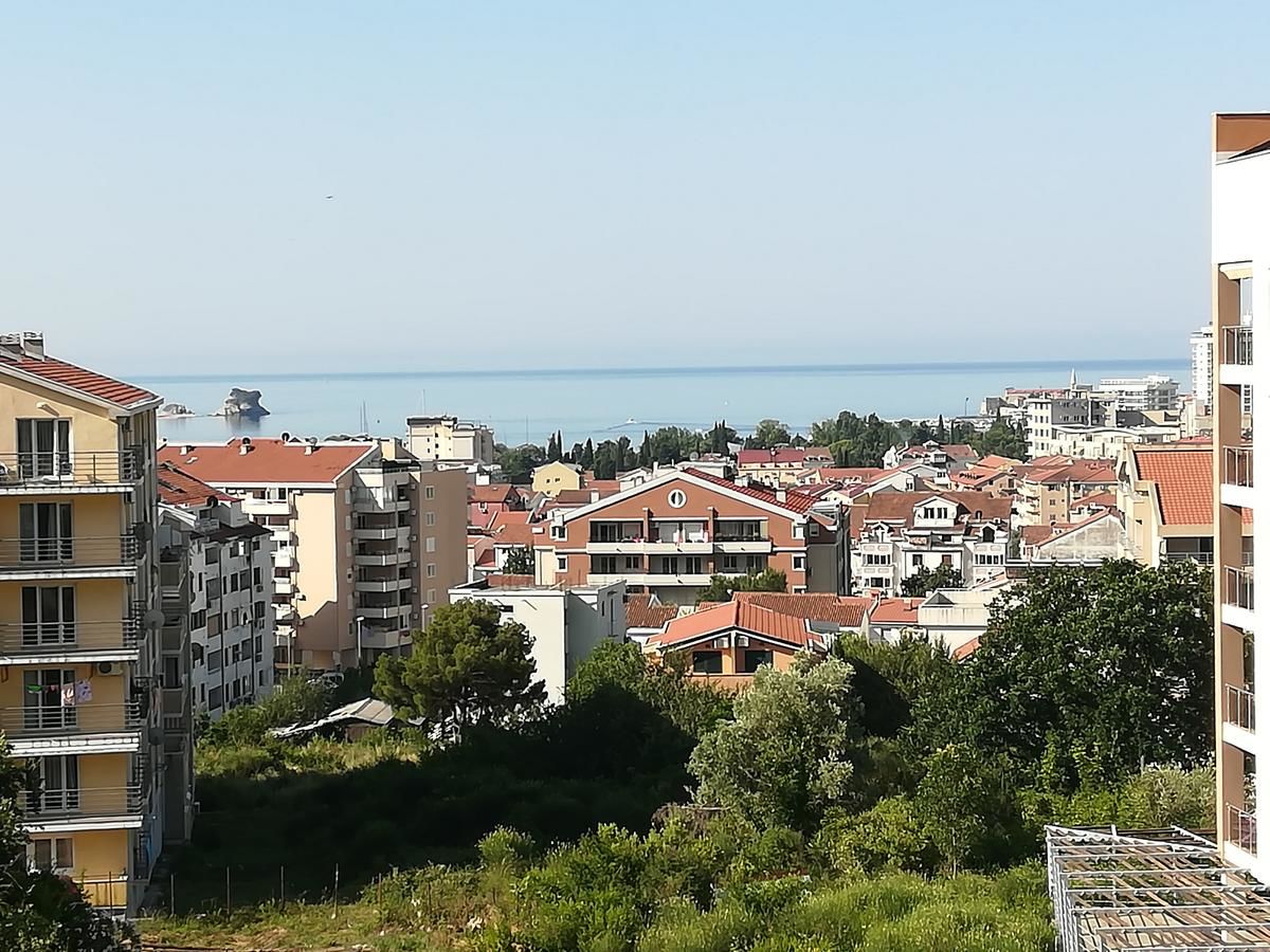 Апартаменты Apartman Aleksa Будва-23