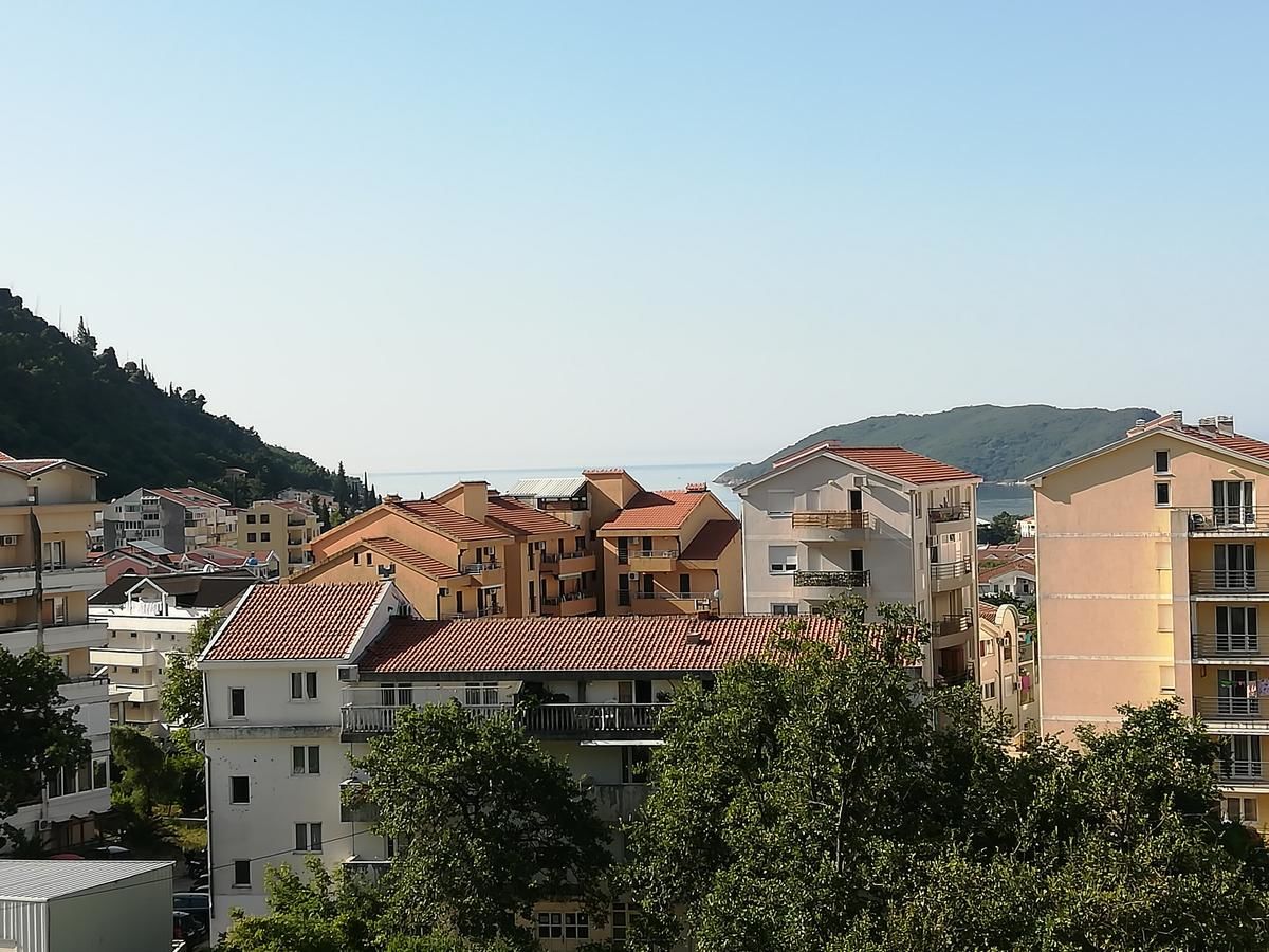 Апартаменты Apartman Aleksa Будва-24