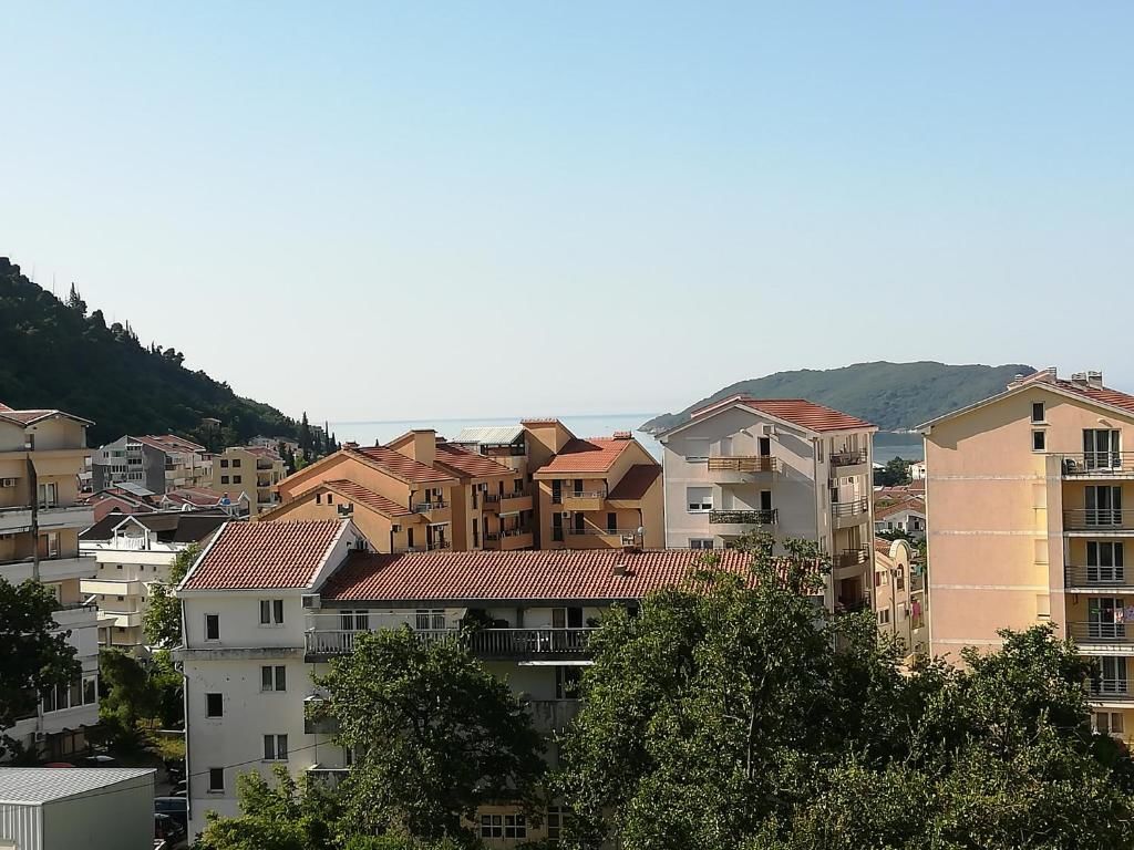 Апартаменты Apartman Aleksa Будва-27